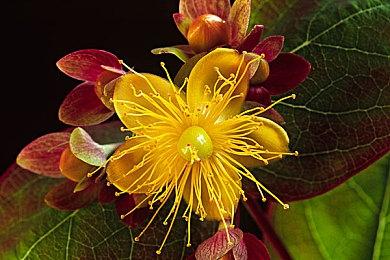 《淹没之城：隐藏深度》即将登陆主机和PC 支持简中